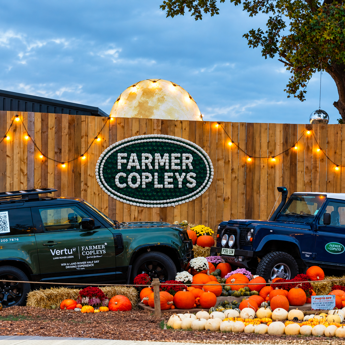 Lighting Up Yorkshire’s Biggest Pumpkin Festival! Garden Lights Direct Supplies Over 200 Metres of Festoon Lighting for Farmer Copleys