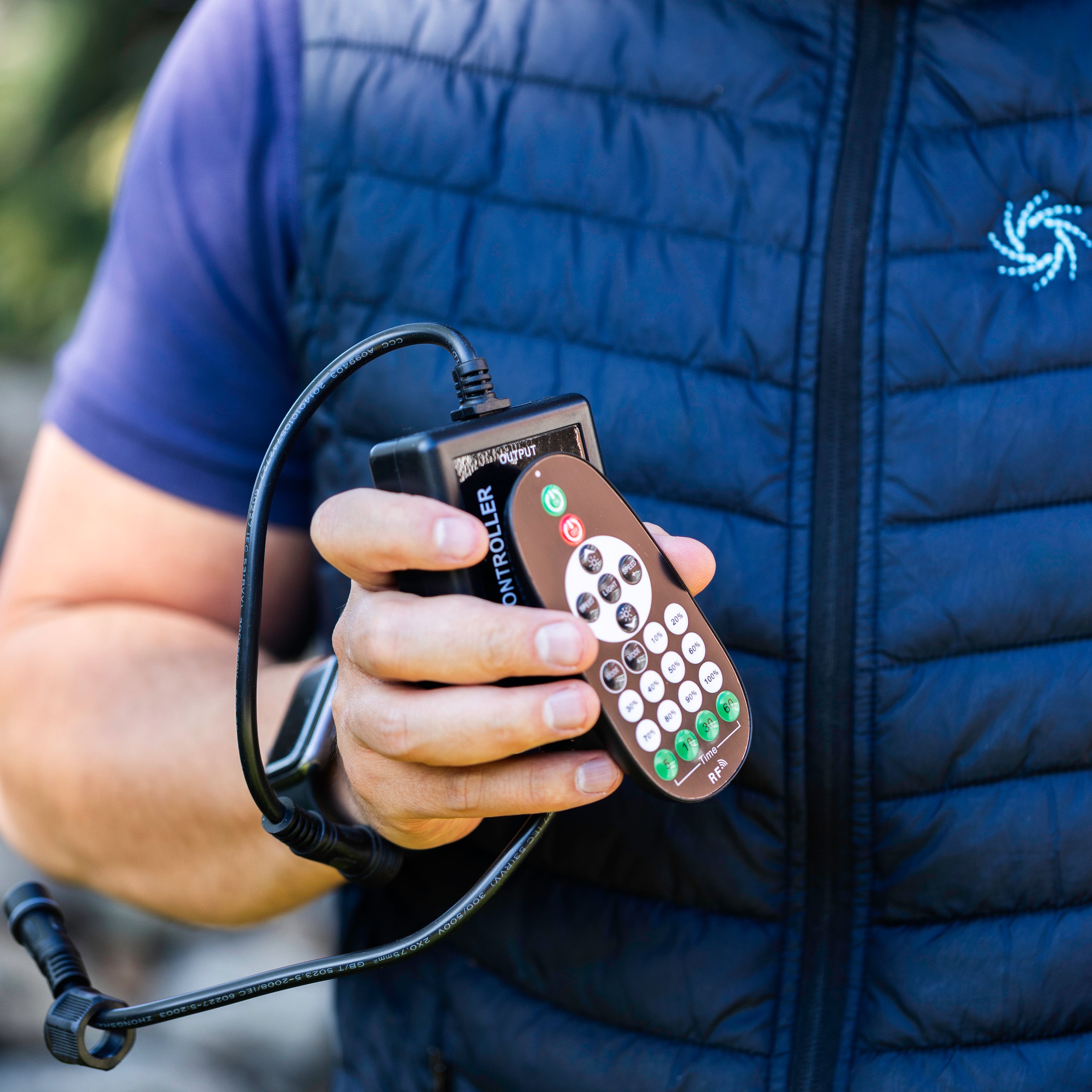 Festoon Remote & Receiver