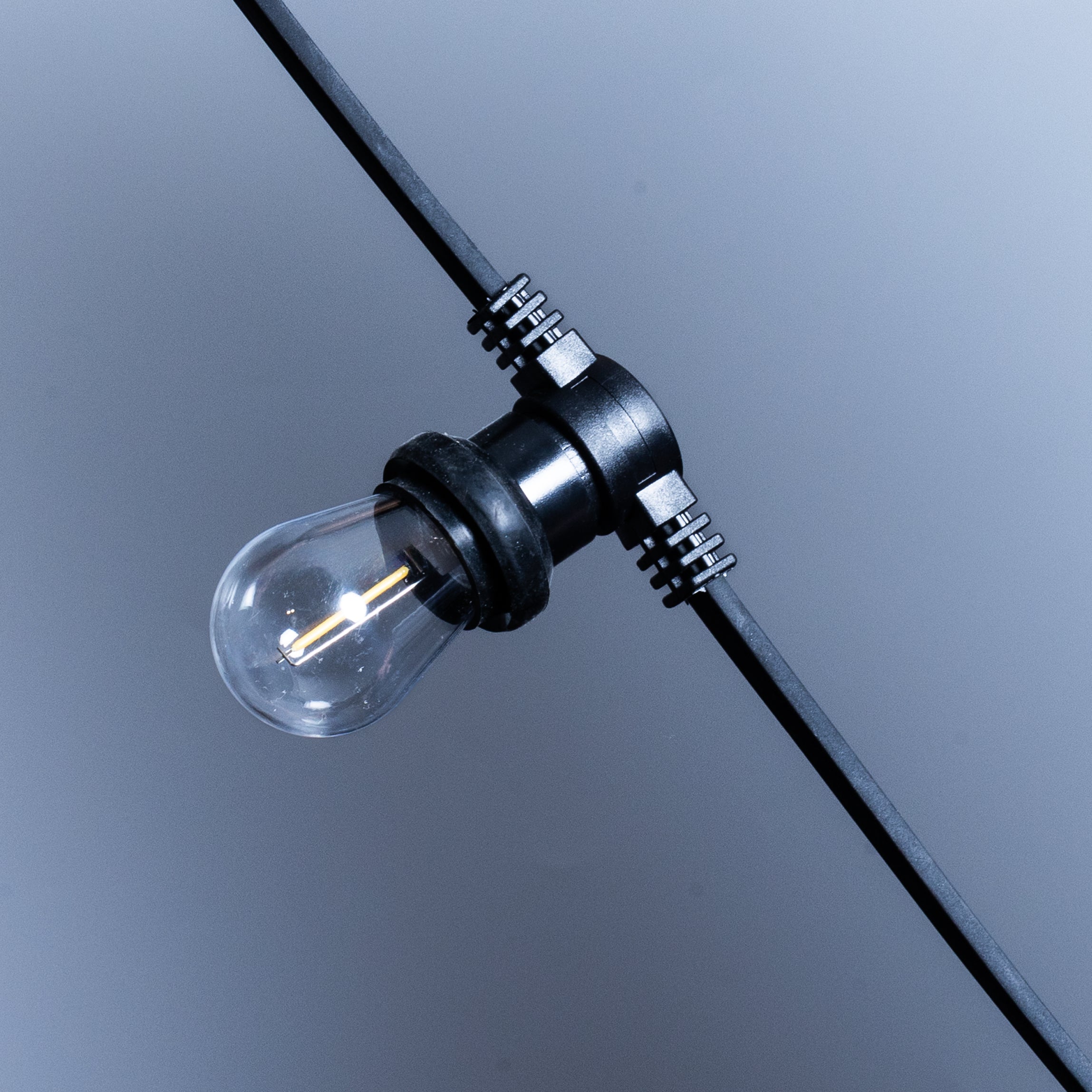 Pro Belt Festoon Lights - Connectable, IP65 (10m–200m) - Heavy Duty Festoon Lights