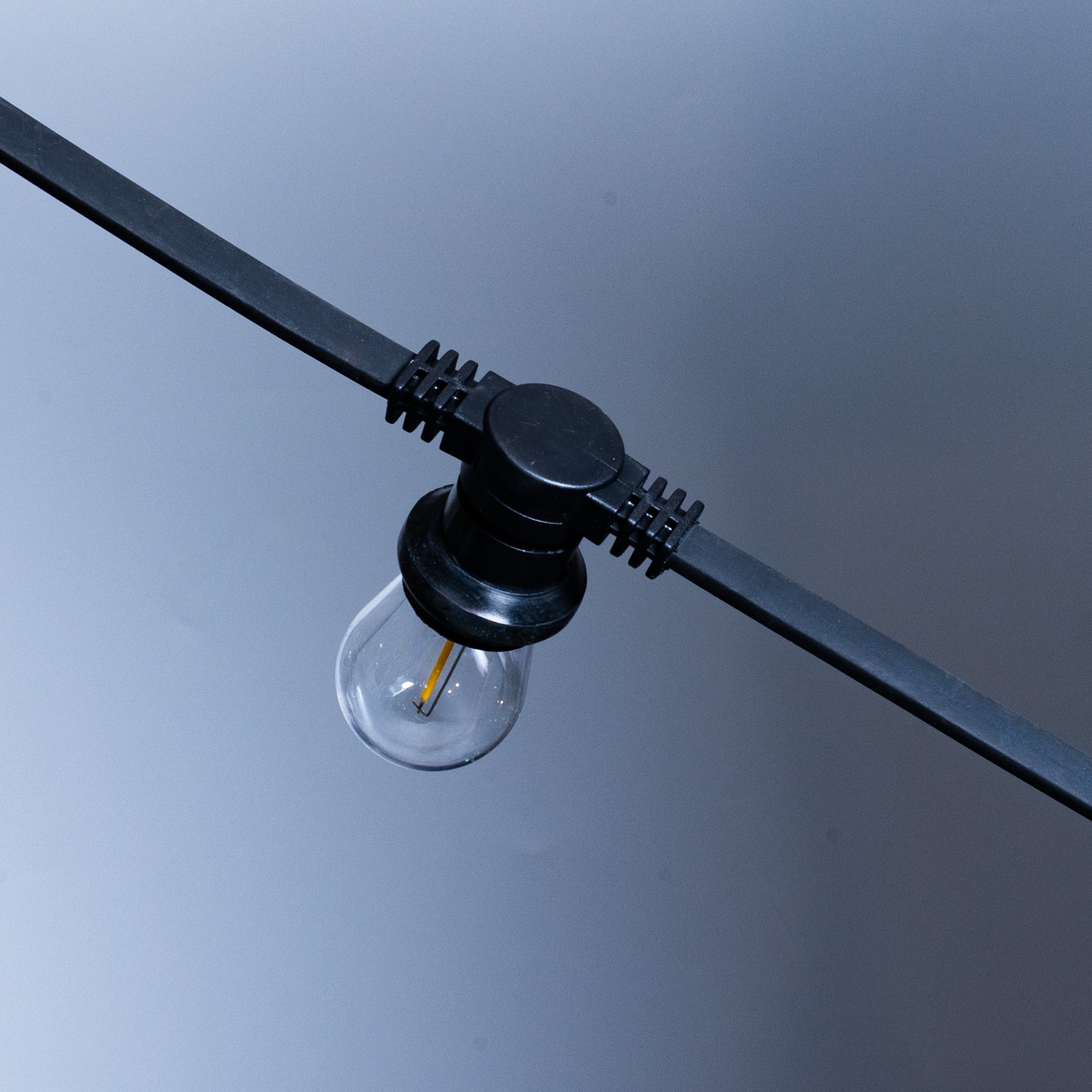 Pro Belt Festoon Lights - Connectable, IP65 (10m–200m) - Heavy Duty Festoon Lights