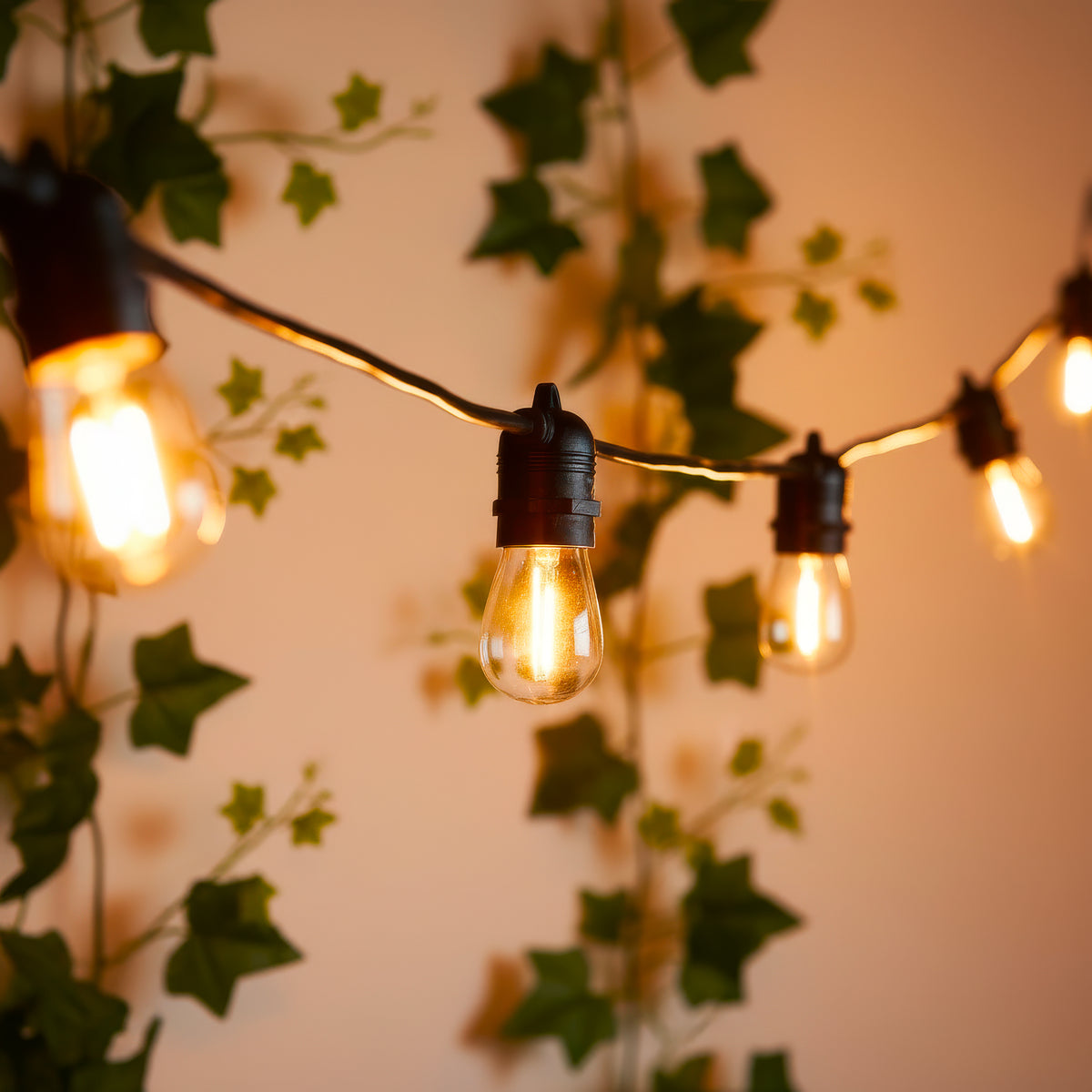 Festoon Lights