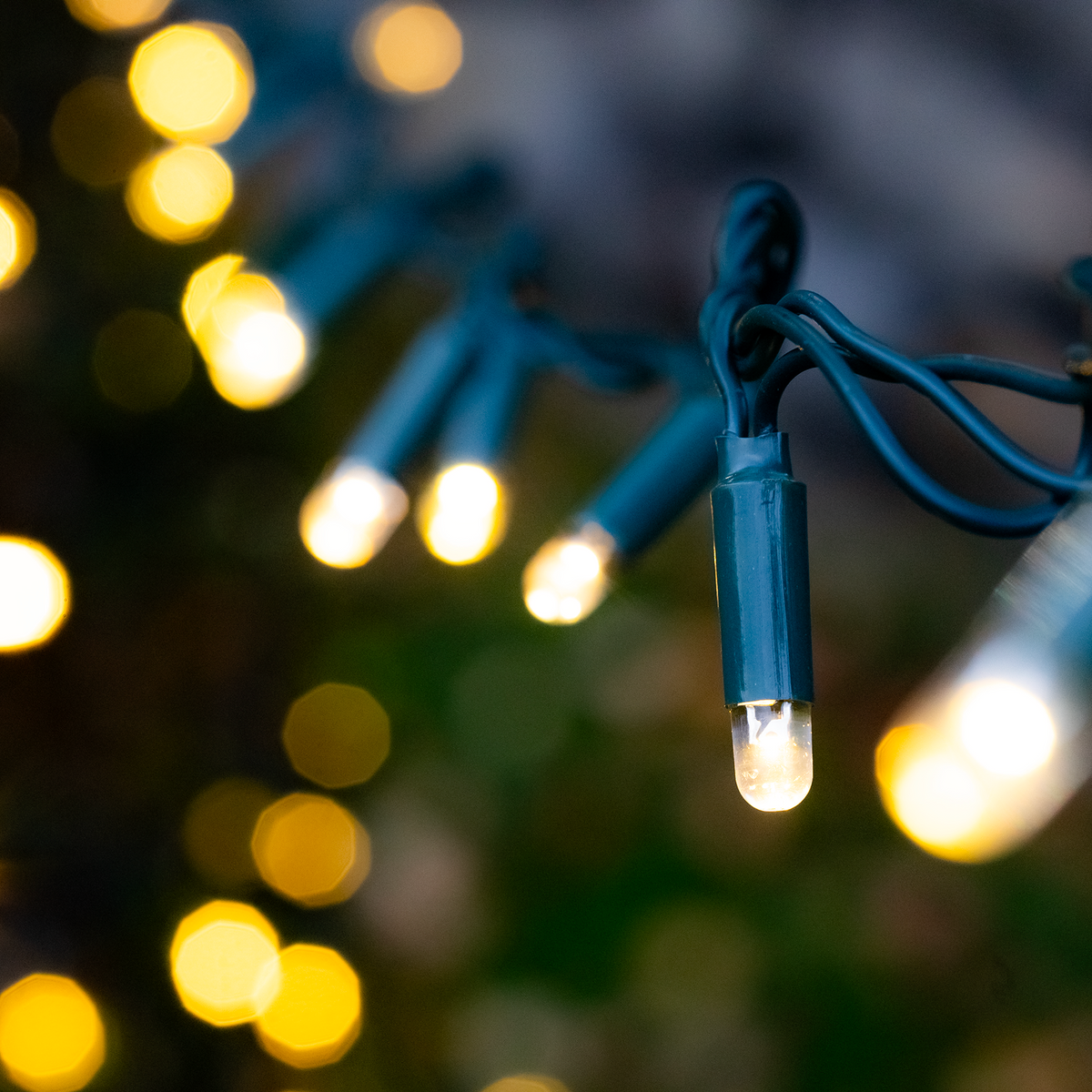 Fairy Lights for Garden