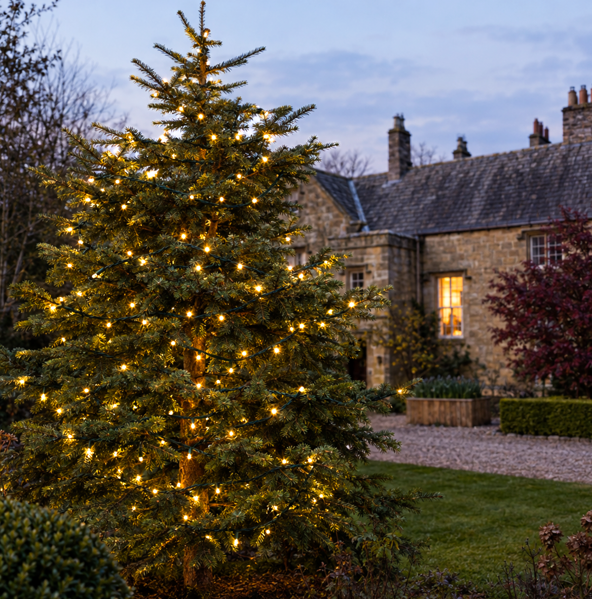 Fairy Lights Christmas Ideas