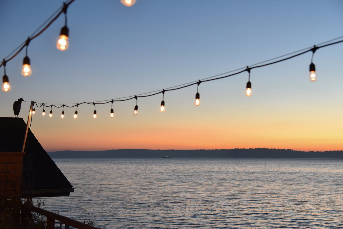 How Festoon Lighting Can Transform Your Business & Attract Customers ...