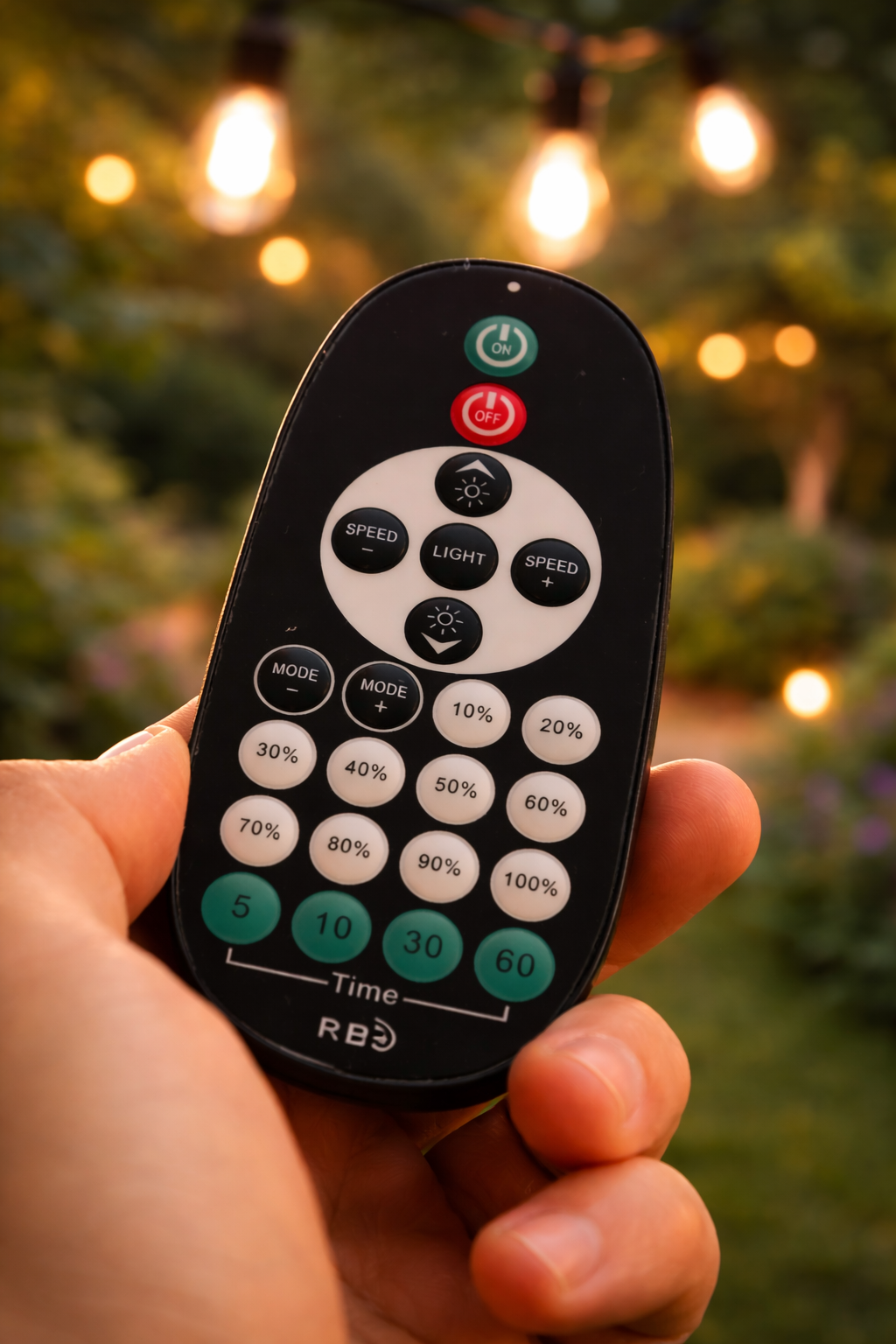 Festoon Light Remote Controller, Receiver & Dimmer
