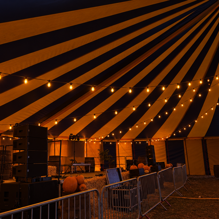 Festoon Lights by Garden Lights Direct