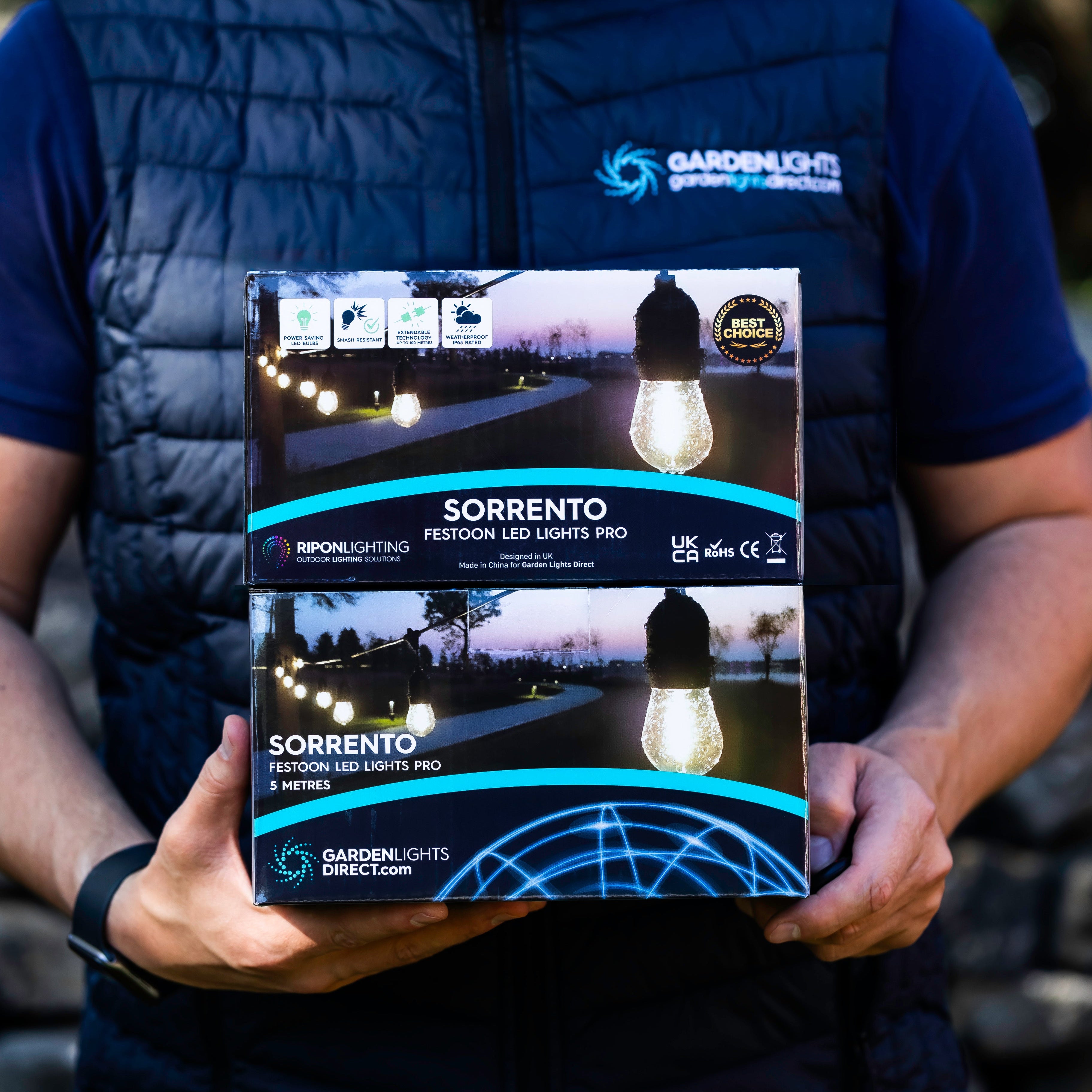 Festoon Lights Box Garden Lights Direct