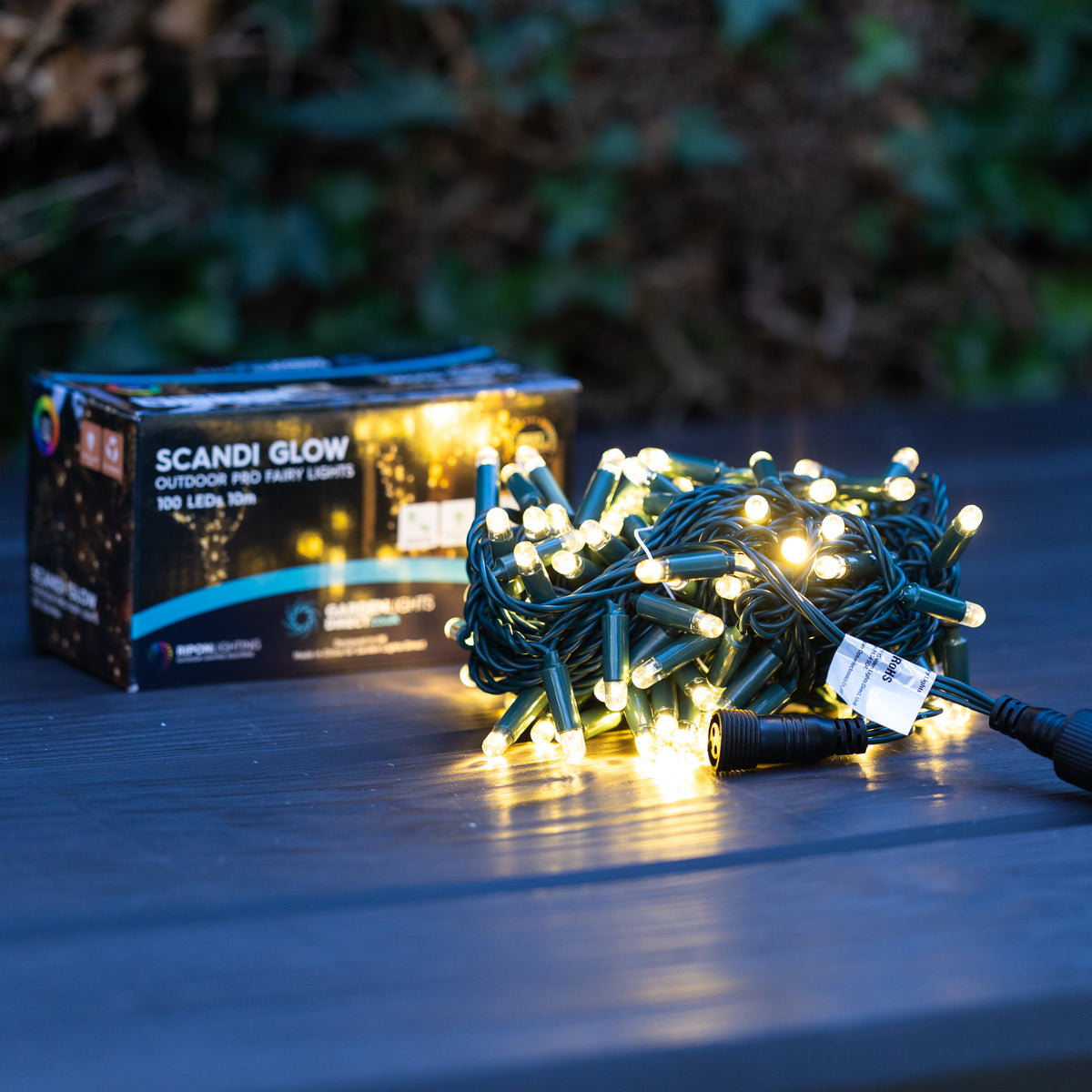 Connectable Outdoor Indoor Fairy Lights