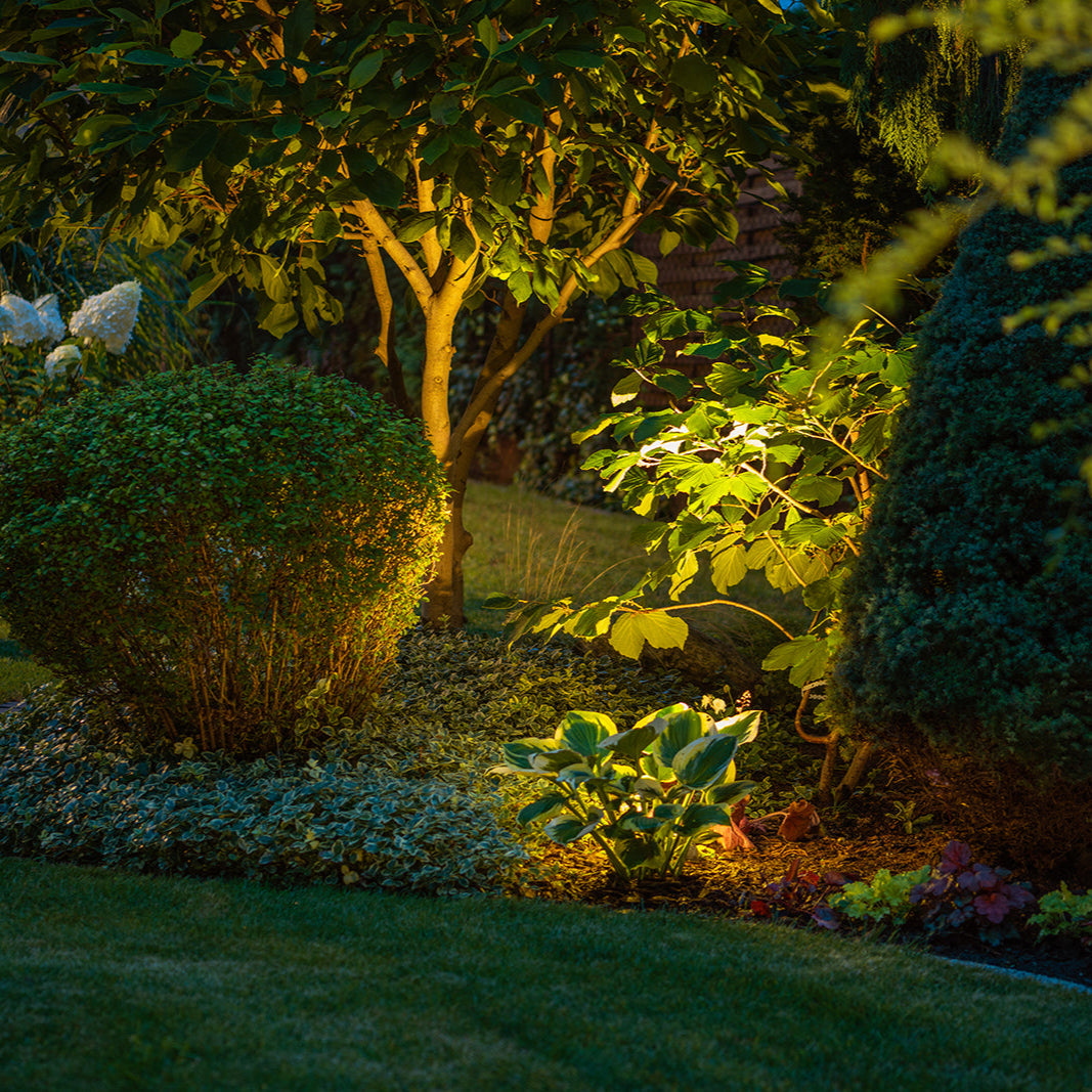 Solar Garden Spotlights Ultra Bright Heavy Duty Black x4 Spotlights IP65 Rated - Garden Lights Direct